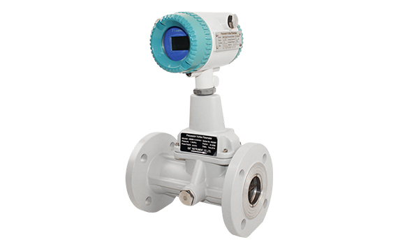 旋進(jìn)旋渦流量計